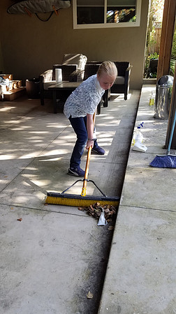 2019-05-02 Cleaning the Patio 06