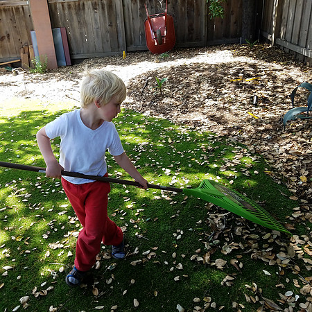 2016-04-24 Backyard 21