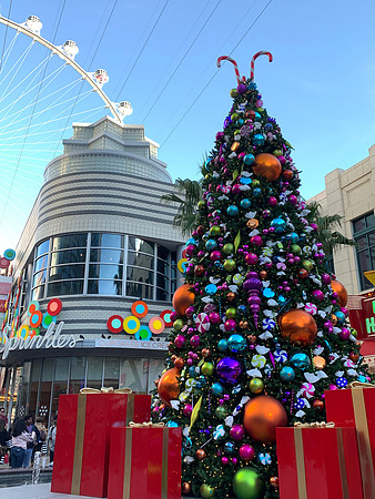 2018-11-24 Las Vegas Trip 043