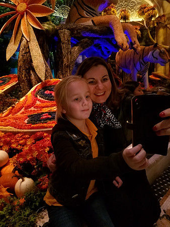 2018-11-24 Las Vegas Trip 164