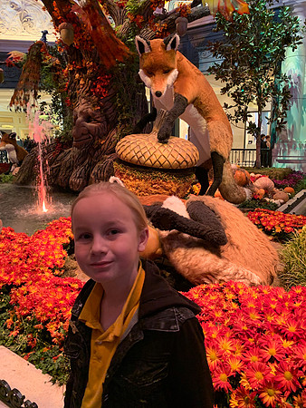 2018-11-24 Las Vegas Trip 212