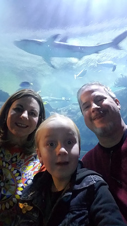 2018-11-25 Las Vegas Trip 126