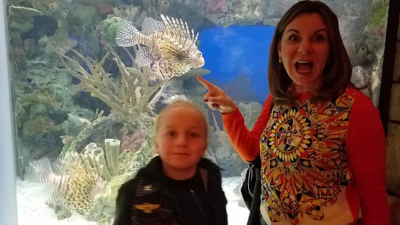 2018-11-25 Las Vegas Trip 268