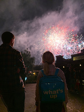 2019-03-31 Disneyland 413