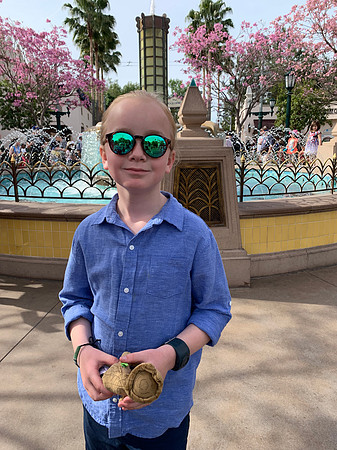 2019-04-01 Disneyland 0166