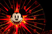 2019 Disneyland