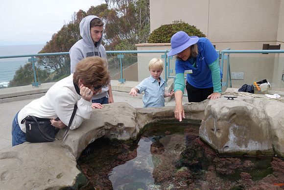 2016-05-16 Birch Aquarium at Scripps 239