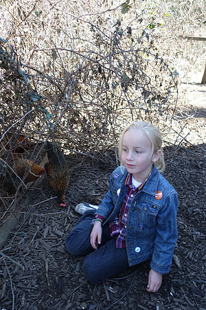 2018-02-16 Hidden Villa Field Trip 518