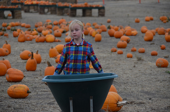 2018-10-21 Pumpkin Patch 046