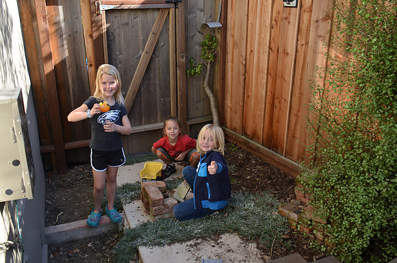 2018-02-04 In The Yard 18