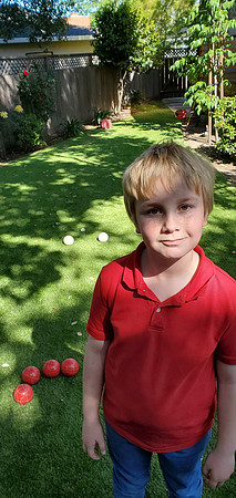 2020-05-01 Cohen 12