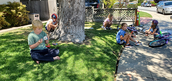 2020-06-13 In the Street 49