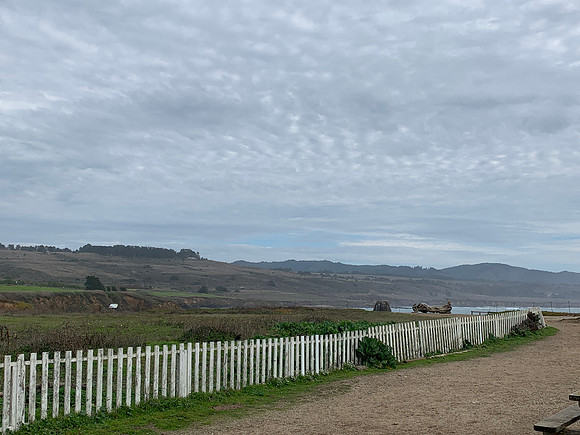 2020-01-23 Half Moon Bay 039