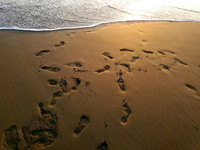 2020-05-01 Ocean Beach 243