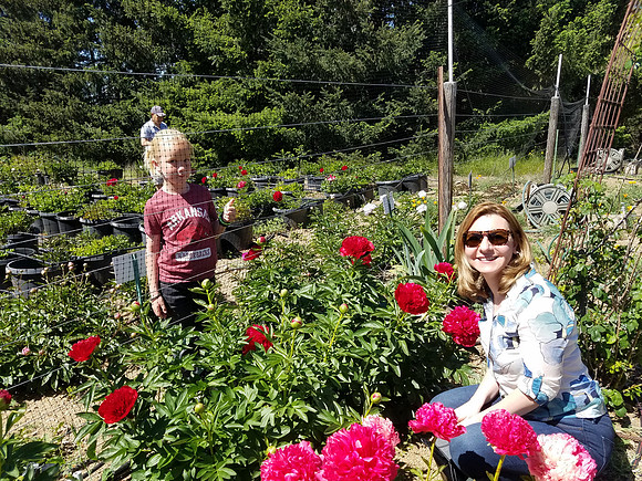 2018-05-12 CharMarron Peony Farm 082