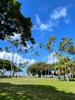 2021-07-24 Honolulu Days 073
