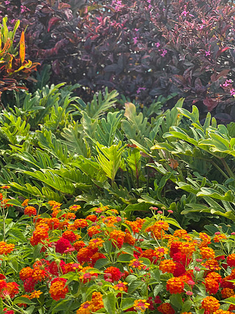2021-07-24 Honolulu Days 095