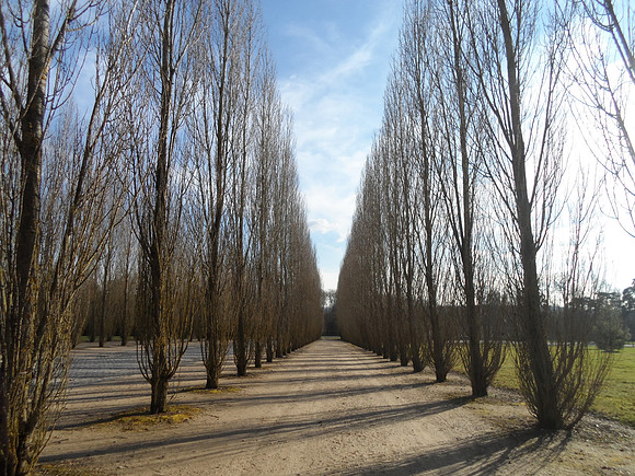 2015-02-04 Paris 574
