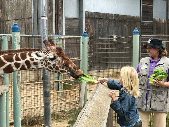 2018-08-05 At the Zoo 371