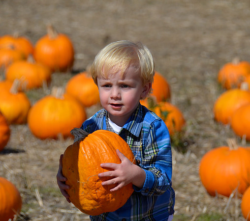 2013-10-12 Pumpkin Patch 185