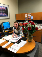 2017-02-13 Roses
