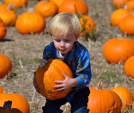 2013-10-12 Pumpkin Patch 184