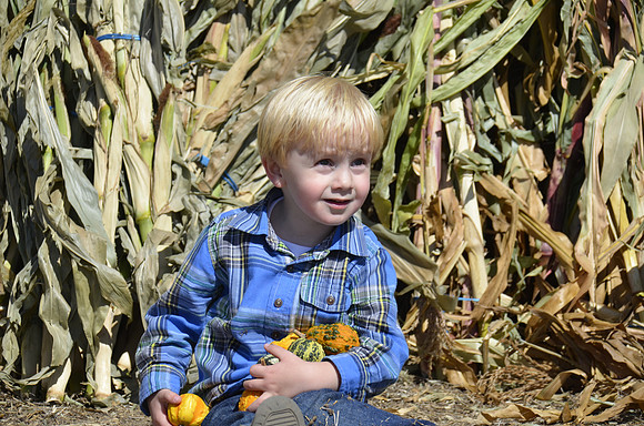 2013-10-12 Pumpkin Patch 401