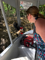 2018-01-20 11-13-09 Costa Rica 0732
