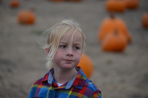 2018-10-21 Pumpkin Patch 051