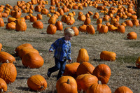 2013-10-12 Pumpkin Patch 082