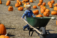 2013-10-12 Pumpkin Patch 104