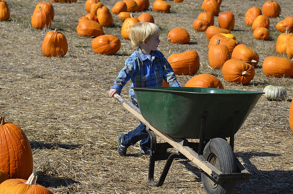 2013-10-12 Pumpkin Patch 104