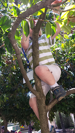 2014-06-28 Miles' Birthday Party 11