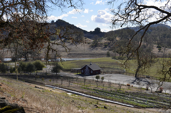 2014-02-02 Healdsburg, CA 160