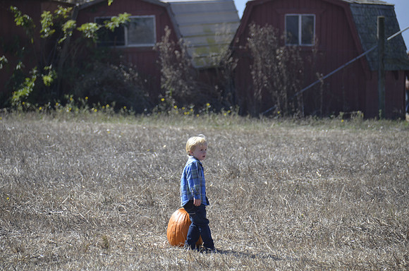 2013-10-12 Pumpkin Patch 155