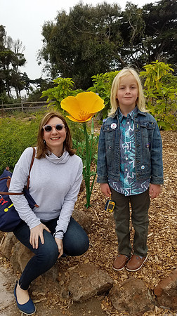 2018-08-05 At the Zoo 413