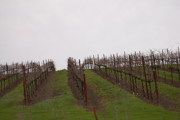 2008-02-02 Six Years 057