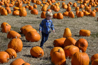 2013-10-12 Pumpkin Patch 081