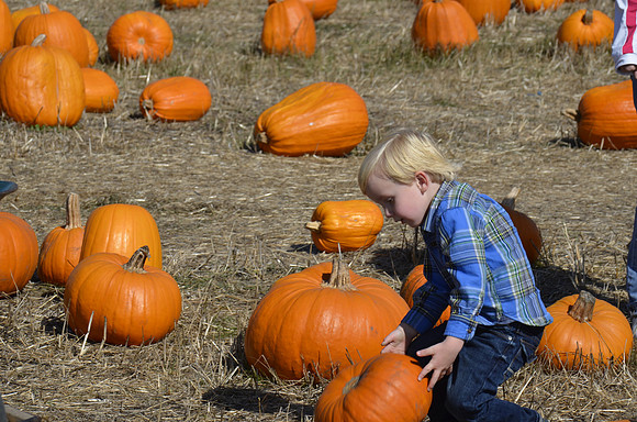 2013-10-12 Pumpkin Patch 131