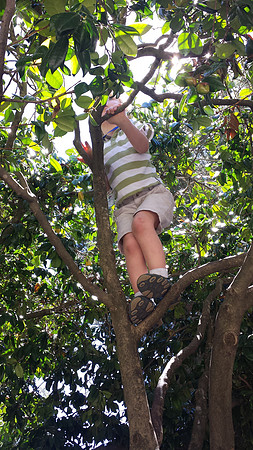 2014-06-28 Miles' Birthday Party 12