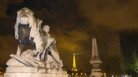 2015-01-31 Paris 346