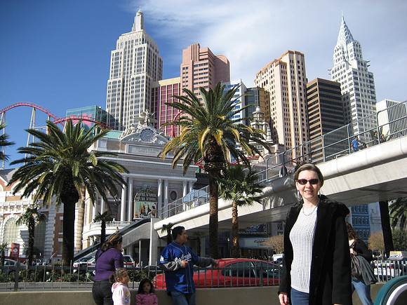 2009-01-02 On the Vegas Strip 08