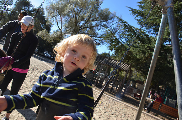 2013-01-20 San Mateo  Central Park 290