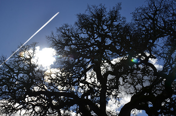 2014-02-02 Healdsburg, CA 212