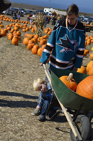 2013-10-12 Pumpkin Patch 148