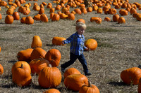 2013-10-12 Pumpkin Patch 083