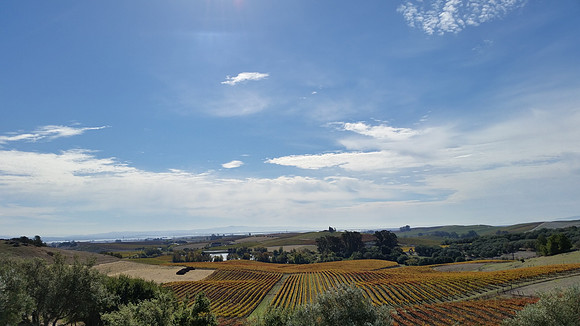 2014-11-03 Napa Trip 12