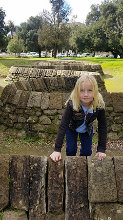 2019-02-10 Sunday at Stanford (art museums) 158