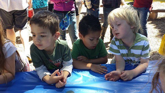 2014-06-28 Miles' Birthday Party 35