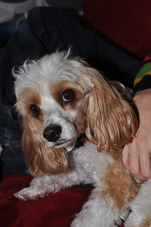 2009-11-25 Thanksgiving 031